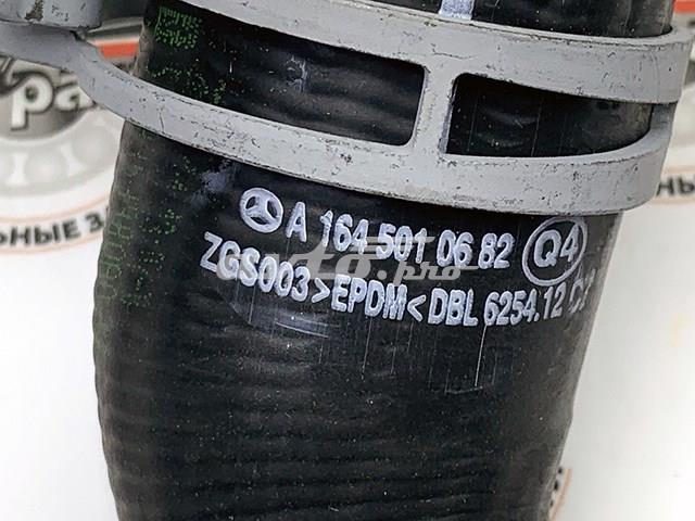 A1645010682 MERCEDES Шланг (патрубок) радиатора охлаждения верхний купить в Ужгород