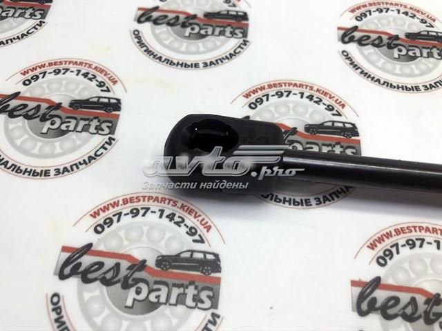A2049803064 MERCEDES Амортизатор багажника купить в Днепр