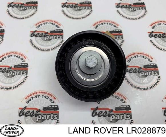 LR028879 Паразитный ролик купить Чернигов