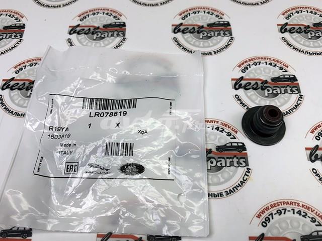 LR078819 LAND ROVER Сальник клапана (маслосъемный), впуск/выпуск купить в Ровно
