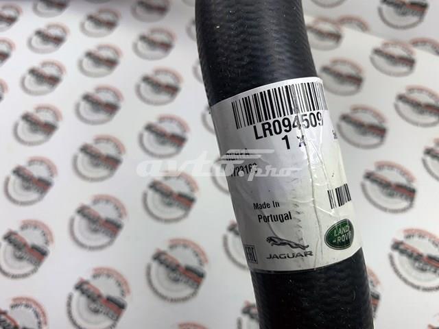 LR094509 LAND ROVER Шланг (патрубок) радиатора охлаждения верхний купить в Харьков