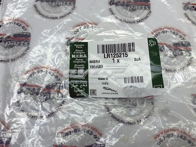 LR125215 LAND ROVER Успокоитель цепи ГРМ, нижний купить в Ужгород
