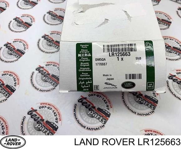 LR125663 Подшипник задней ступицы купить Каменское