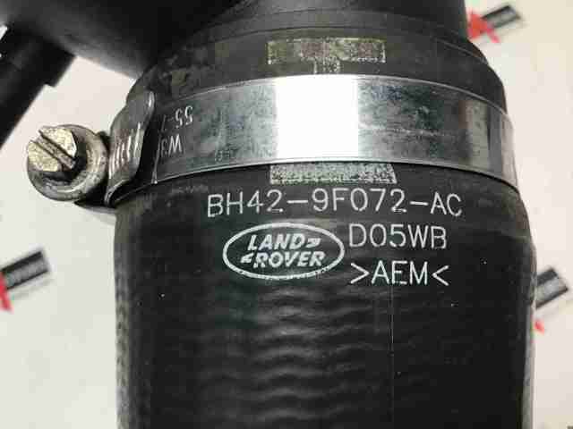 Mangueira (cano derivado) superior de intercooler LR022663 Land Rover