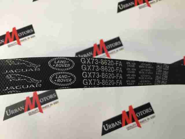 Correia dos conjuntos de transmissão T2R21156 JAGUAR