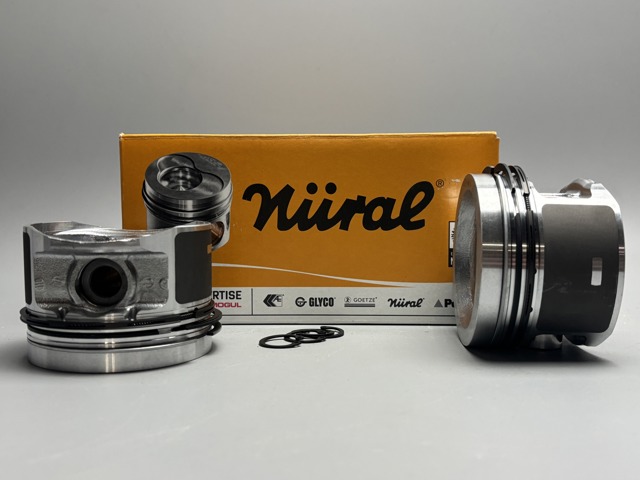 0216200 Mahle Original