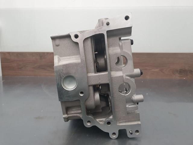 110405X00A NISSAN Головка блока цилиндров (ГБЦ) купить в Ужгород