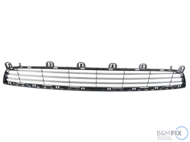 Решетка бампера переднего нижняя 51117325482 BMW