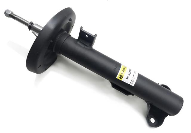 Амортизатор передний RS317559 RAISO