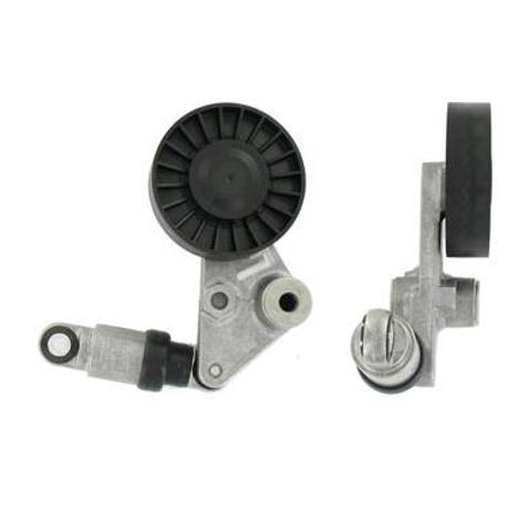 SKF VKM35007 Натяжитель приводного ремня в наличии Житомир