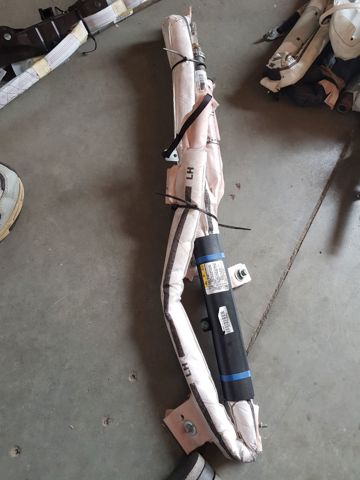 Подушка безопасности, передней, левой двери AIRBAG 100526100D Tesla Model