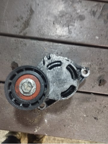 Натяжитель клинового ремня 0802410121 RENAULT