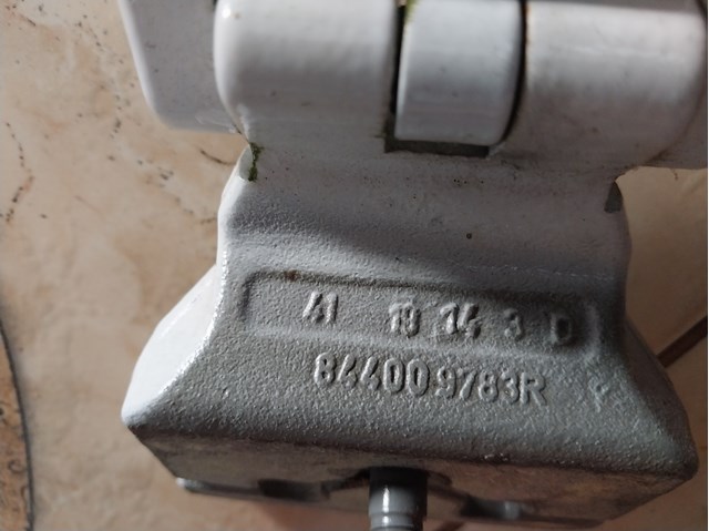 844009783R Петля двери задней (багажной 3/5-й) купить Киев