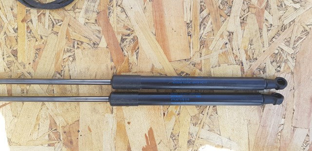 Амортизатор для багажника газовый 3T5827552 VAG