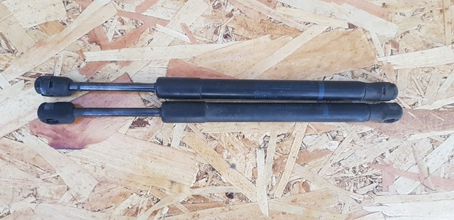 Амортизатор задней двери Ауди А6 C6