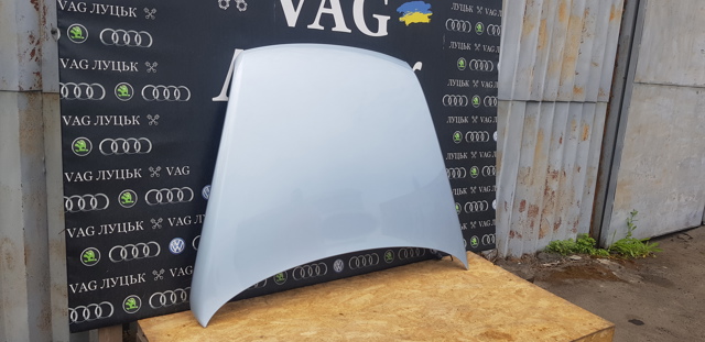 VAG 7L6823031D Капот в наличии Одесса