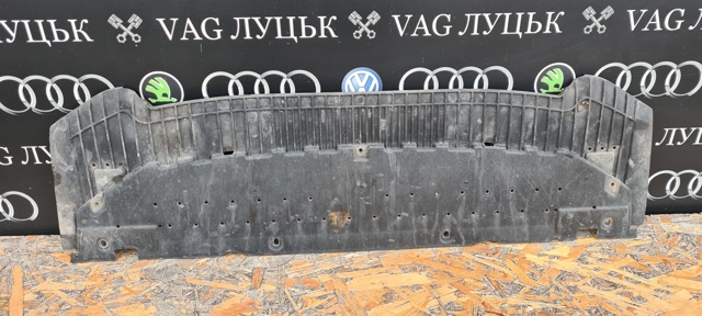 Кенгурятник 8K0807233 VAG