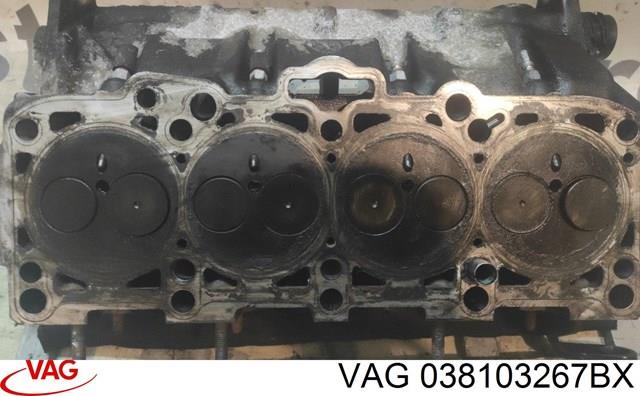VAG 038103267BX Головка блока цилиндров (ГБЦ) в наличии Хмельницкий