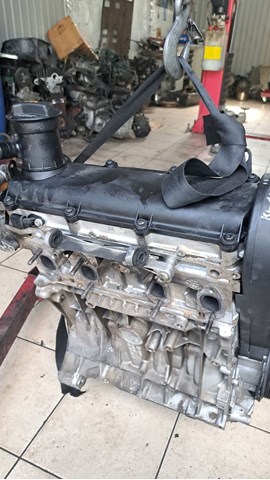 06A100043P Двигатель в сборе купить Украина