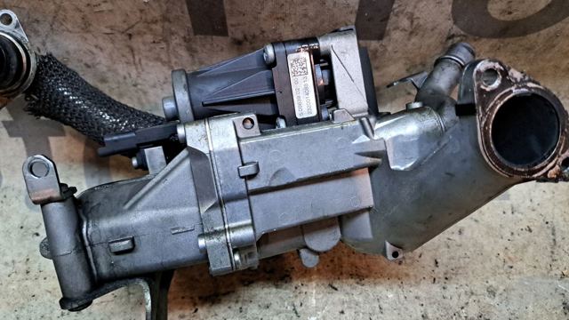 1708004 FORD Радиатор системы EGR купить в Черновцы