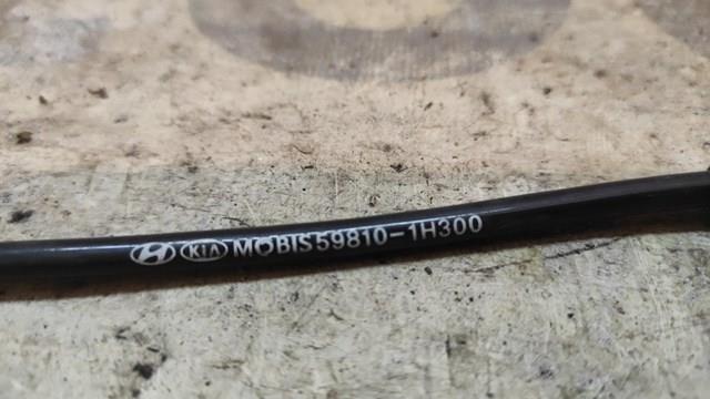 598101H300 HYUNDAI Датчик АБС (ABS) передний левый купить в Киев