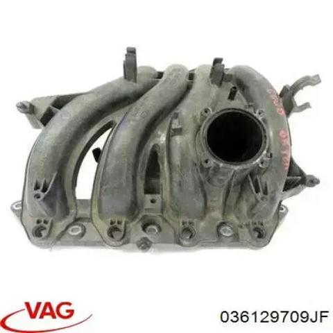 Впускной коллектор 036129709JF VAG