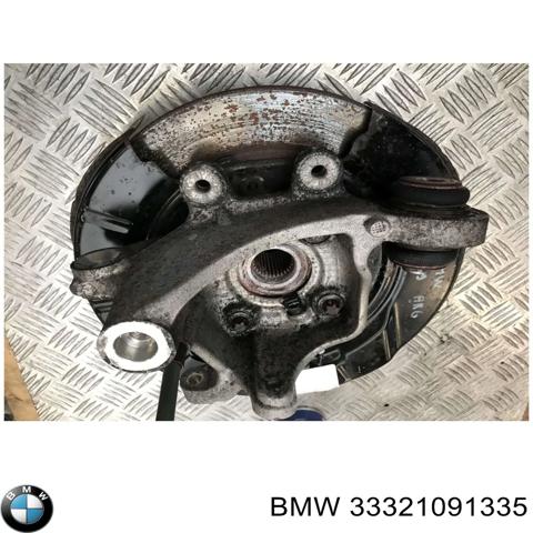 BMW 33321091335 Цапфа задняя левая в наличии Николаев