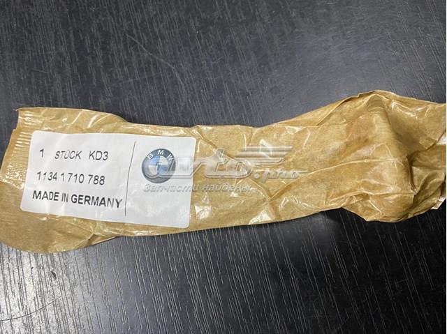 11341710788 BMW Клапан выпускной купить в Львов