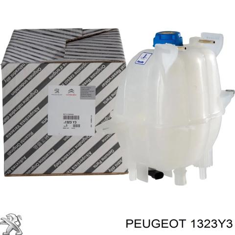 1323Y3 Бачок системы охлаждения расширительный купить Полтава