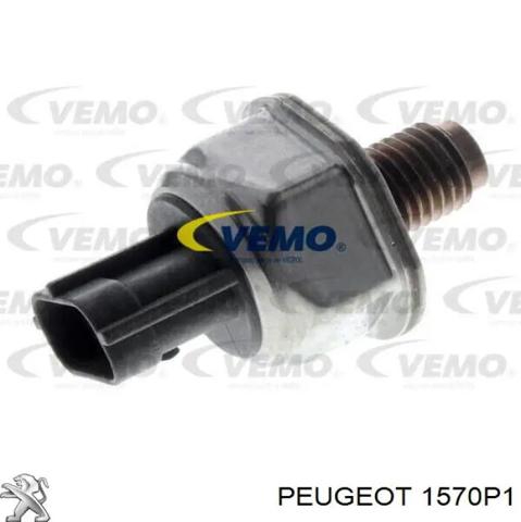 1570P1 Распределитель топлива (рампа) купить Львов