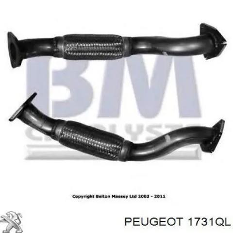 Выхлопная система 1731QL PEUGEOT