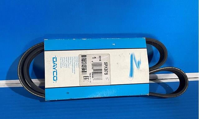 5PK975 DAYCO Ремень генератора купить в Ровно