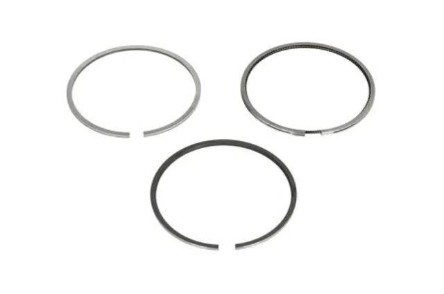 Кольца поршневые STD на 1 цилиндр 02954N0 MAHLE