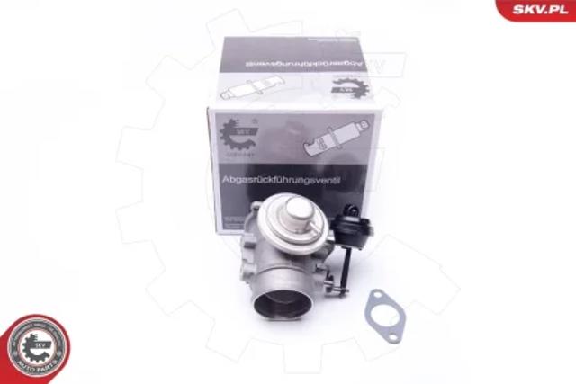 Клапан EGR, рециркуляции газов 14SKV106 SKV
