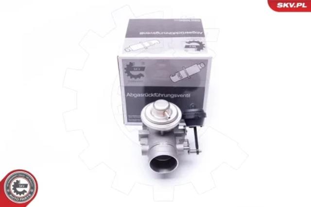 Клапан рециркуляции отработавших газов EGR 14SKV107 SKV