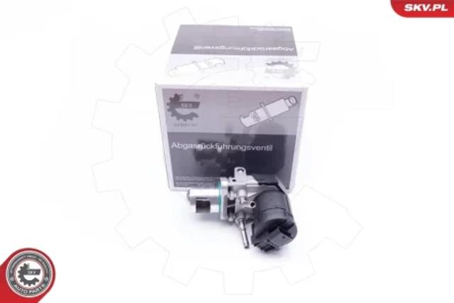 Клапан ЕГР 14SKV169 SKV