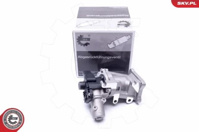 Клапан рециркуляции отработавших газов EGR 14SKV171 SKV