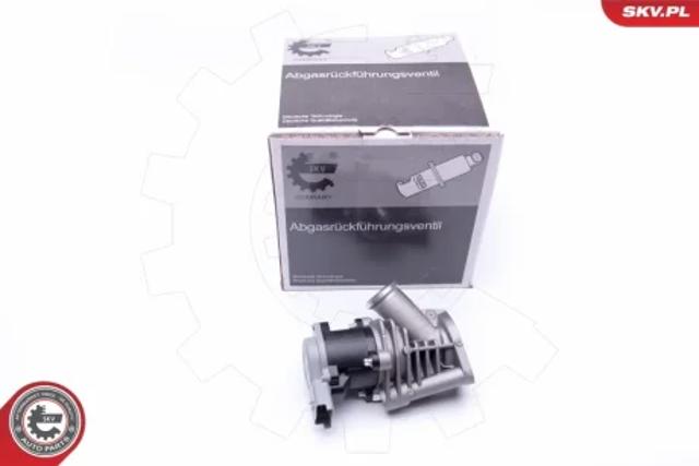 Клапан ЕГР 14SKV173 SKV