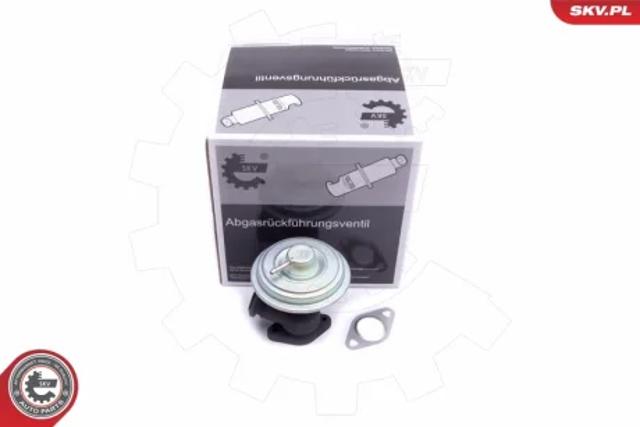 Клапан EGR, рециркуляции газов 14SKV203 SKV