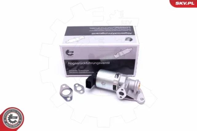 Клапан EGR, рециркуляции газов 14SKV208 SKV