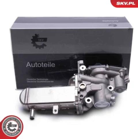 Клапан рециркуляции отработавших газов EGR 14SKV241 SKV