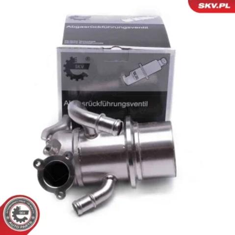Клапан EGR системы рециркуляции отработавших газов 14SKV243 SKV