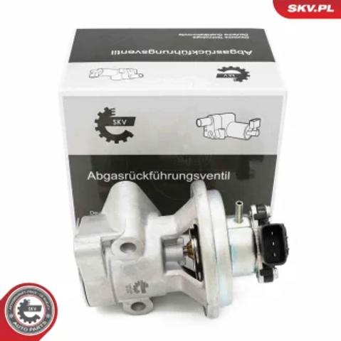 Клапан ЕГР 14SKV269 SKV