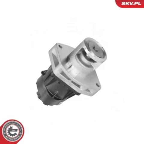 Клапан рециркуляции отработавших газов EGR 14SKV302 SKV