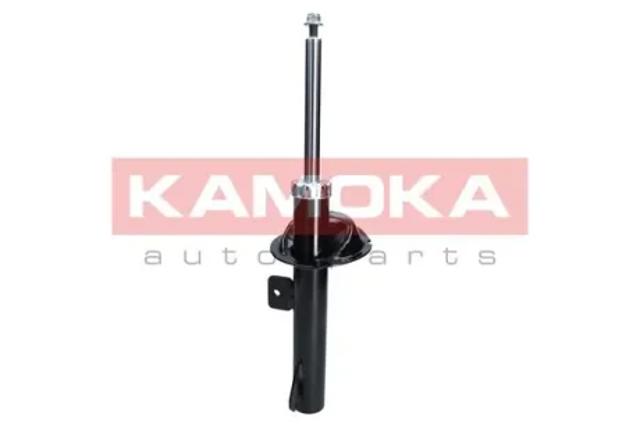 Амортизаторы передние 2000387 KAMOKA