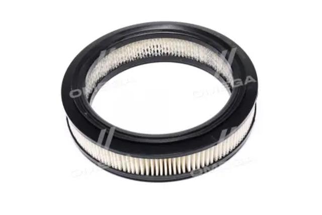 2005510 Воздушный фильтр купить Каменское