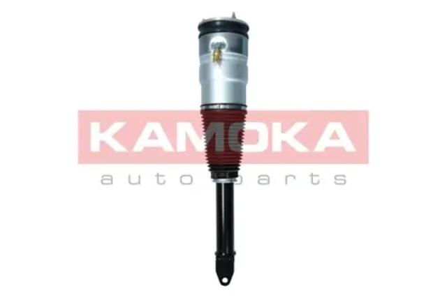 Стойка передняя 2070005 KAMOKA