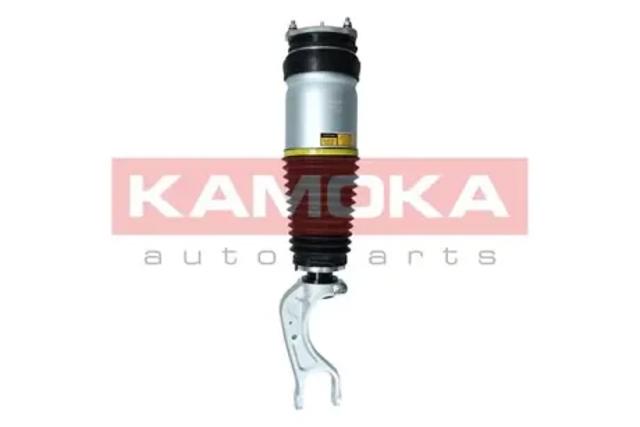 Стойка передняя 2070007 KAMOKA