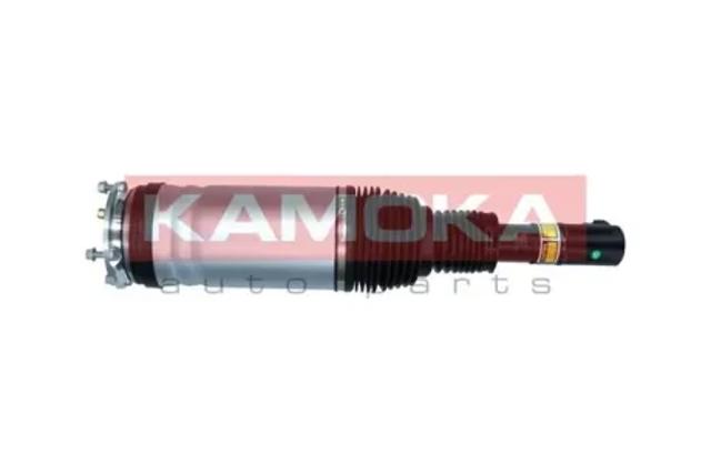 Амортизатор подвески передний левый 2070012 KAMOKA