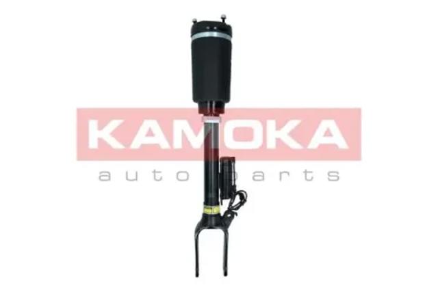 Амортизаторы передние 2070015 KAMOKA